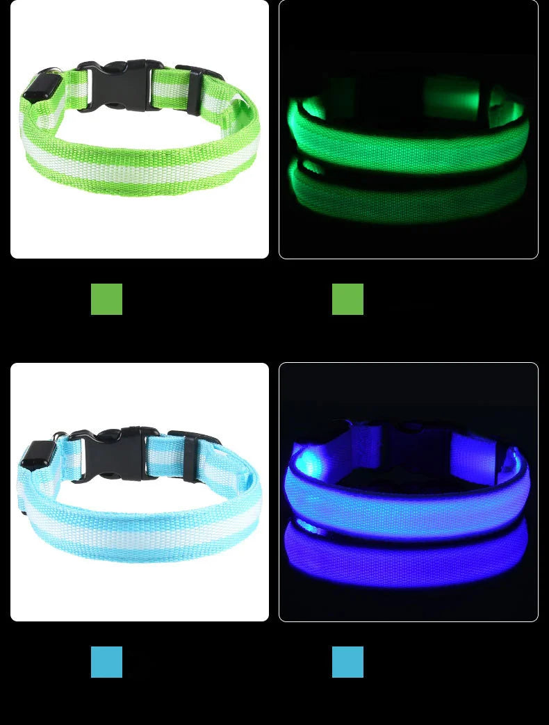 Coleira Nylon LED anti pulgas e carrapatos